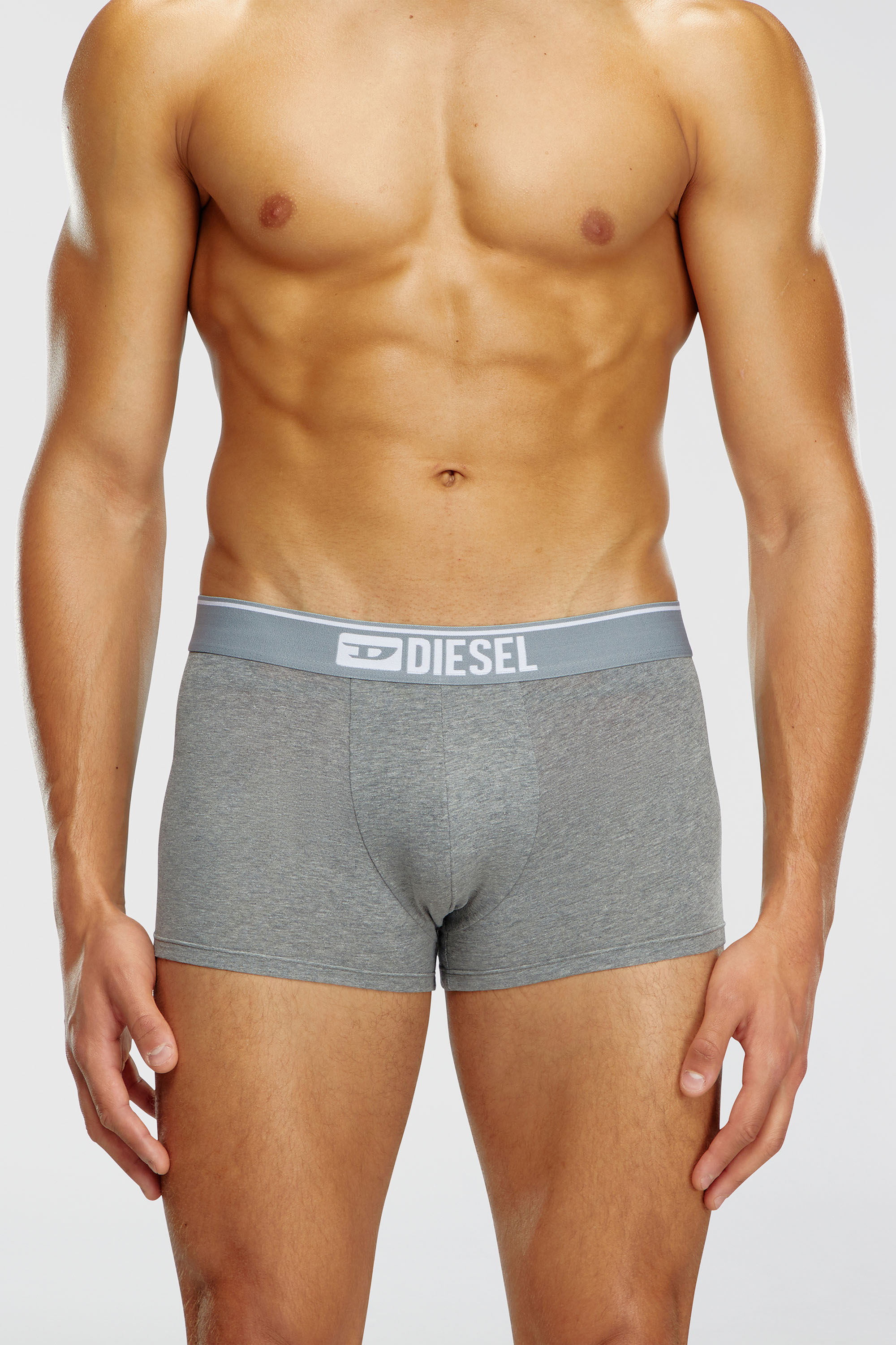 Diesel - UMBX-DAMIENTHREEPACK, Man's Three-pack of plain boxer briefs in White/Grey - 3