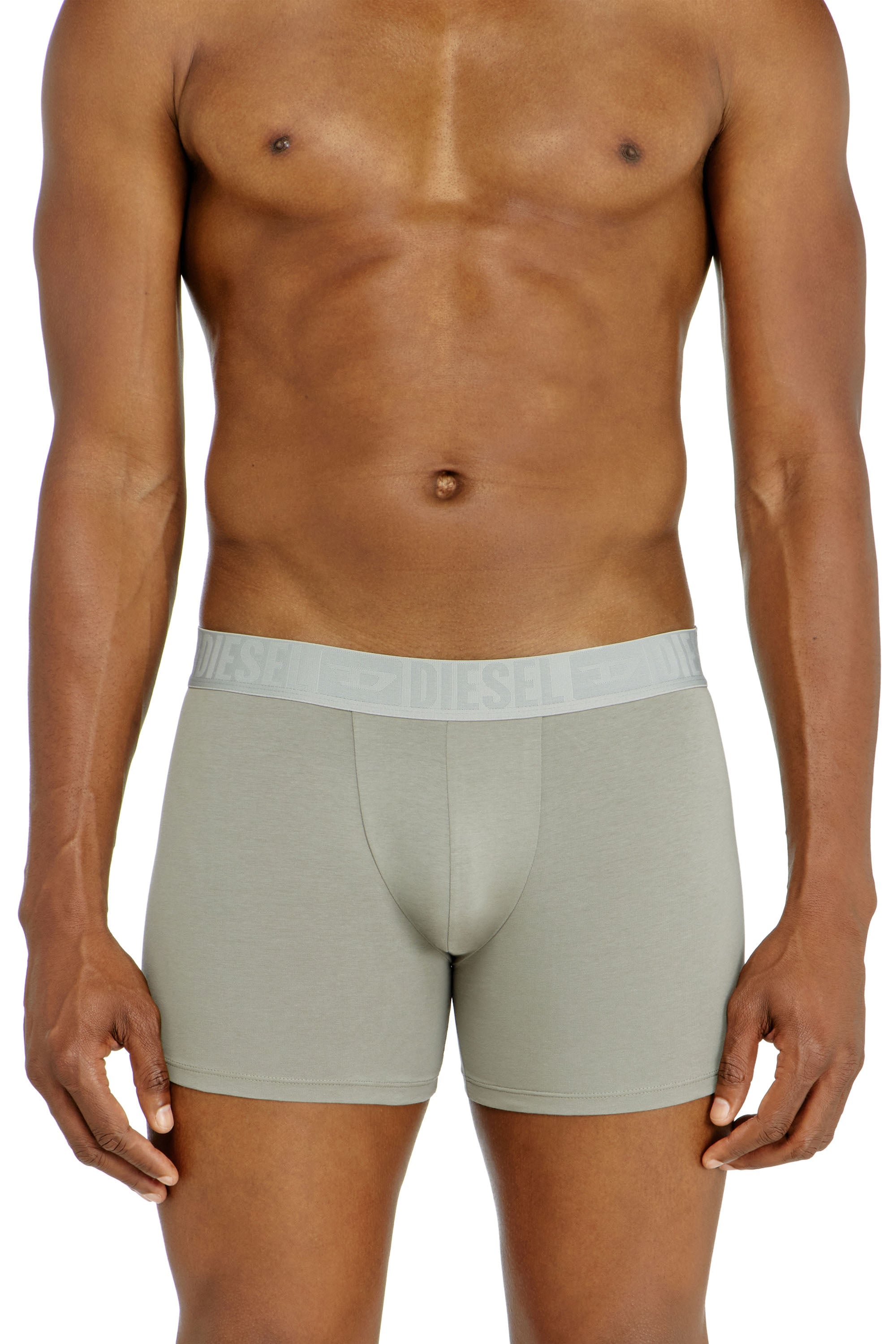 Diesel - SEBASTIAN-D-CORE-3PACK, Man's Three-pack boxer briefs in stretch cotton in Black/Grey - 2