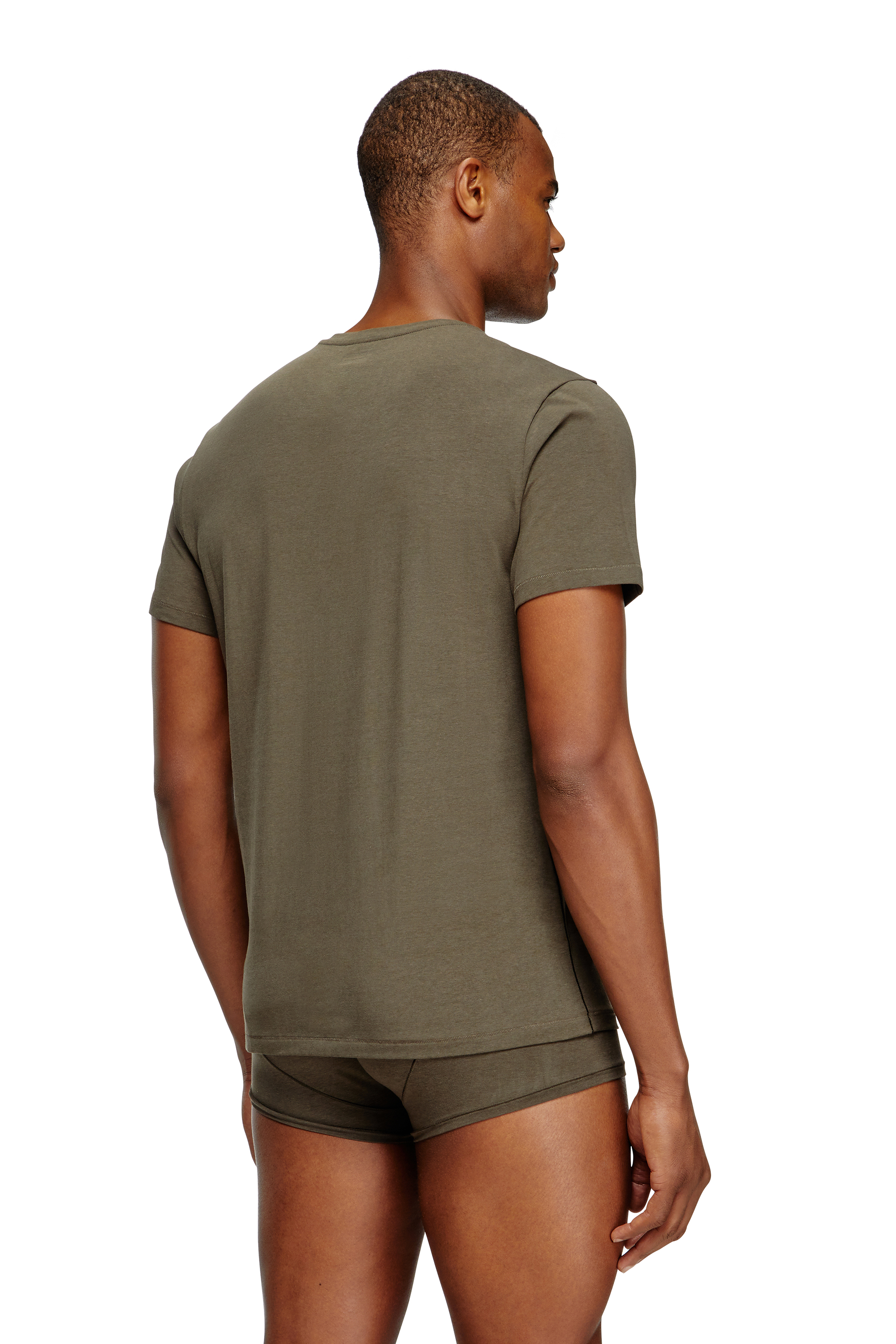 Diesel - RANDAL-D-MONO-2PACK, Man's 2-pack T-shirts in fluid jersey in Green/Blue - 4