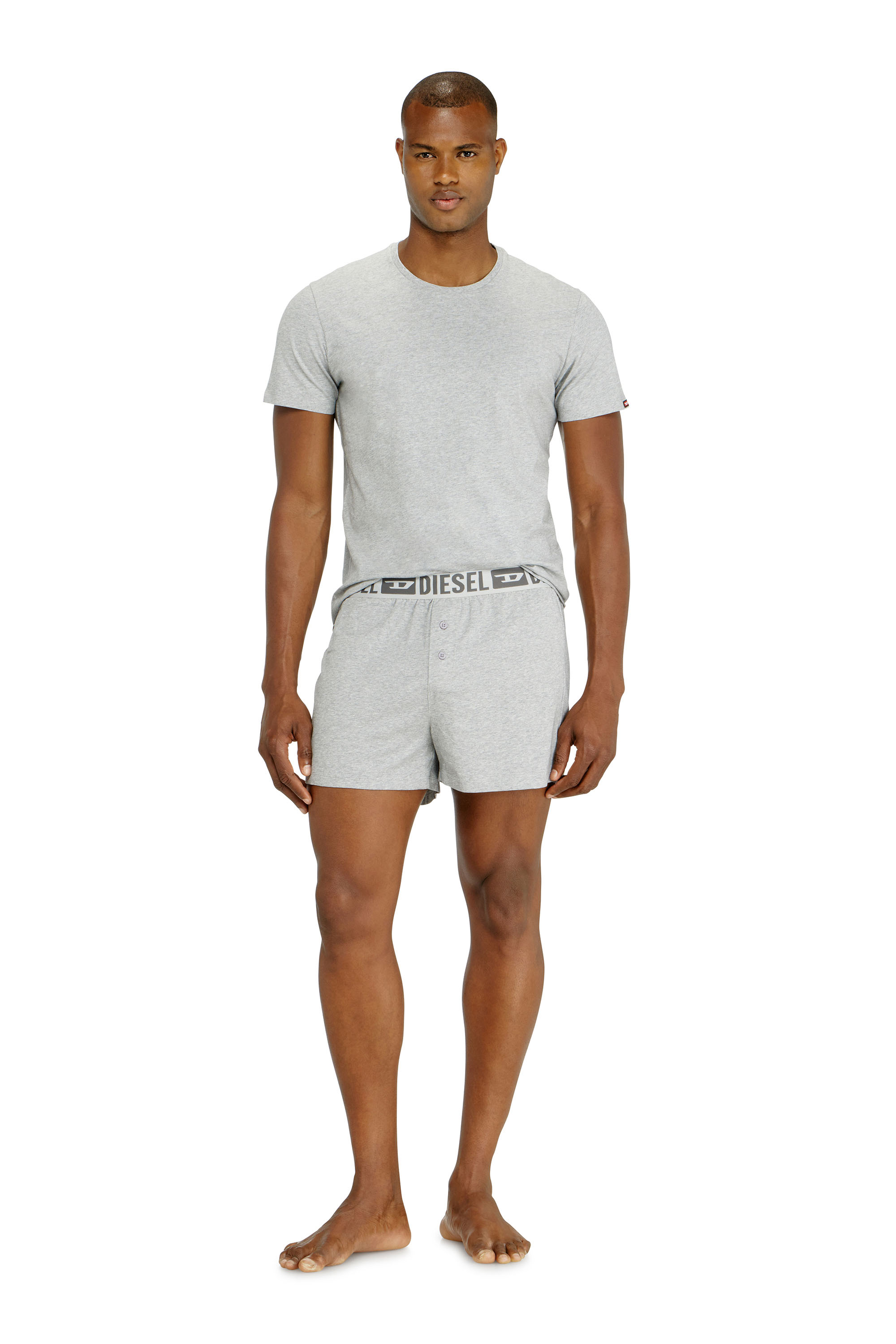 Diesel - STARKIE-D-CORE-2PACK, Man's Two-pack boxer shorts in stretch cotton in Grey - 3