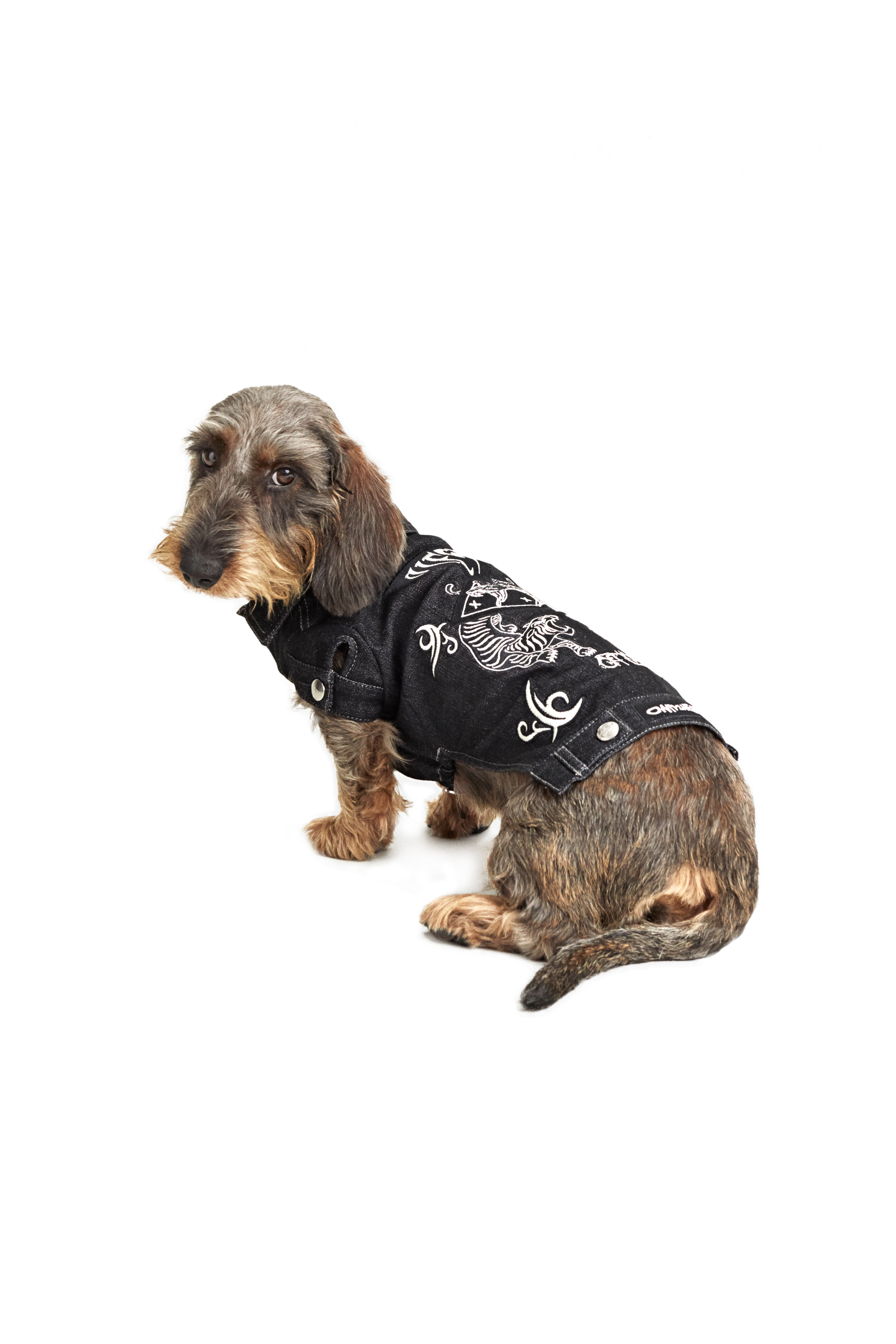 Diesel - PET-TIGERS, Black - Image 3